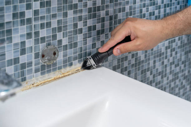 Best Black Mold Removal  in Morton, TX